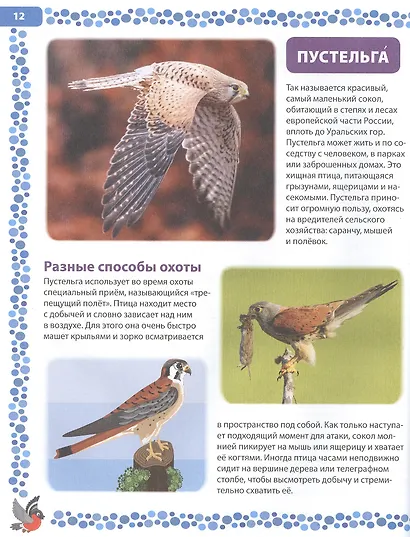 Птицы России. Детская энциклопедия - фото 5