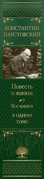 Повесть о жизни. Все книги в одном томе - фото 5