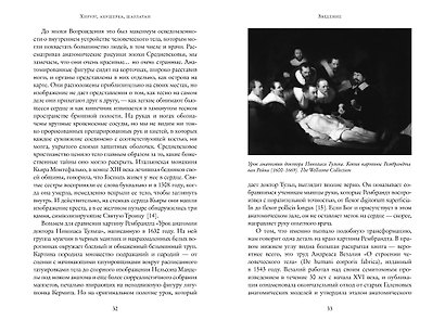 Хирург, акушерка, шарлатан: Как зарождалась современная медицина, или Как выжить в эпоху Возрождения - фото 12