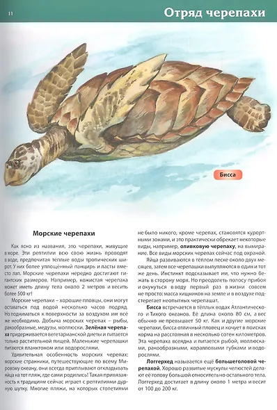 Животные. Большая детская энциклопедия - фото 6