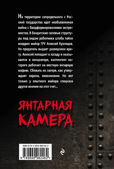 Янтарная камера - фото 2