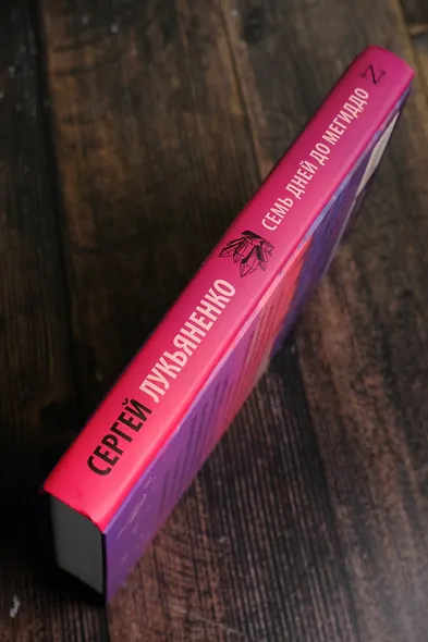 Семь дней до Мегиддо - фото 7