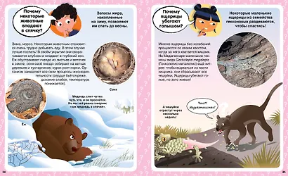 Почему? 100 вопросов и ответов в картинках - фото 7