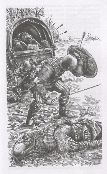 Последний кольценосец. Роман - фото 2