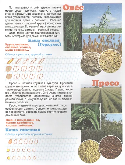 Что у нас на столе? Для детей 4-6 лет - фото 4