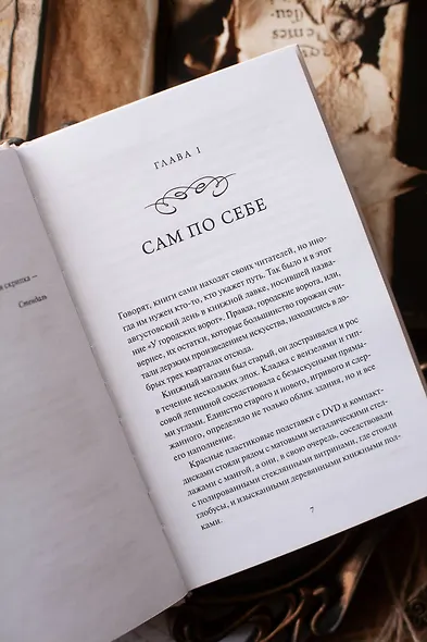 Служба доставки книг. Вечные истории - фото 10