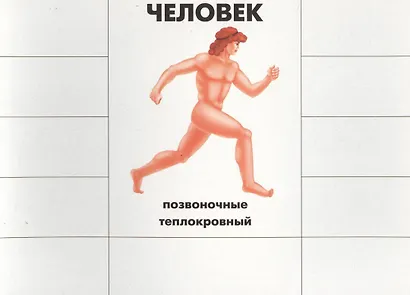 Кто как устроен. Познавательная игра-лото - фото 3