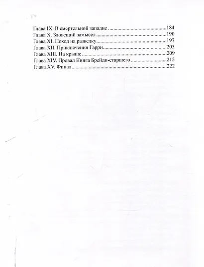 Брейди в Сан-Франциско - фото 3