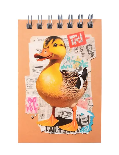 Блокнот А7 60л "Утка" спираль - фото 1