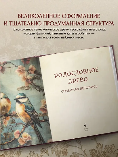 Родословное древо. Семейная летопись: индивидуальная книга фамильной истории - фото 5