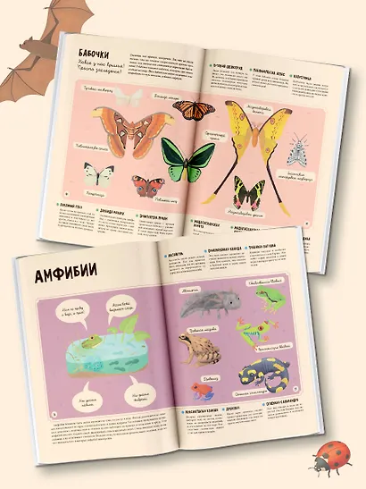 Животные - фото 4