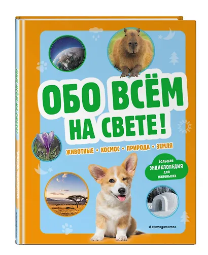 Обо всем на свете! Большая энциклопедия для маленьких - фото 3