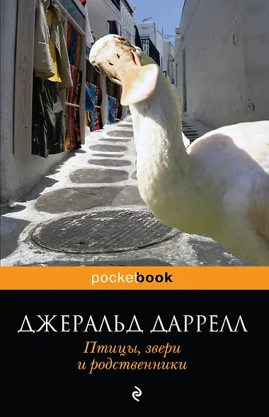 Птицы, звери и родственники - фото 1
