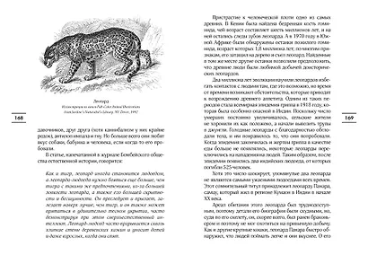 Таинственный мир кошек: Мифология, история и наука о сверхъестественных способностях самого независимого домашнего питомца - фото 10