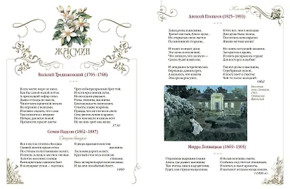 Среди пионов и лилий. Цветы в русской поэзии и живописи - фото 12