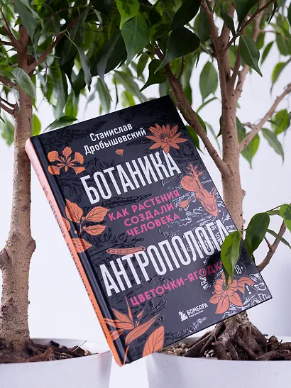 Ботаника антрополога. Как растения создали человека. Цветочки-ягодки - фото 9