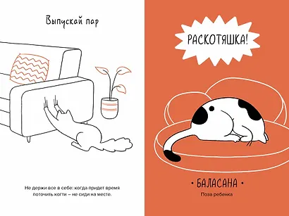 Кот всему голова. Кошачьи мудрости для жизни без стресса - фото 6