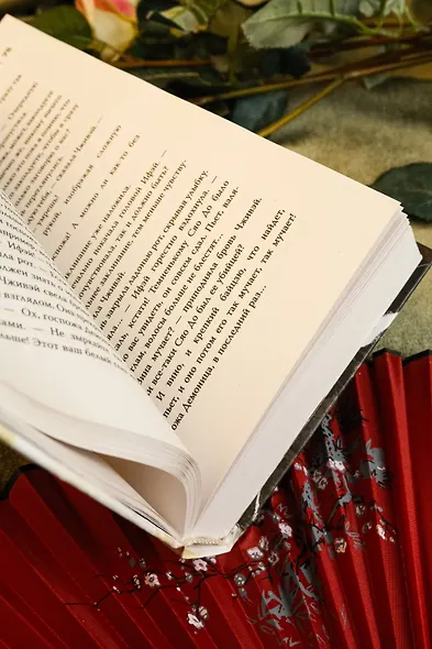 Покорение дракона - фото 15