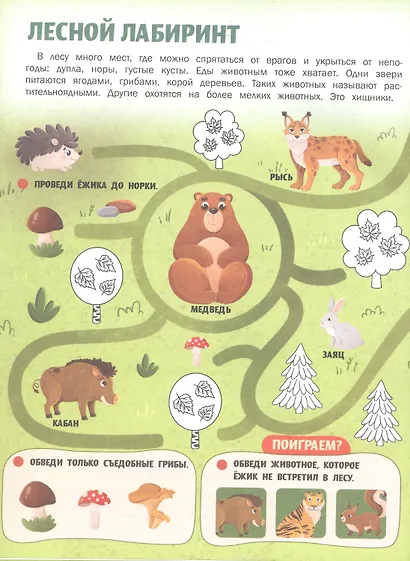 Животные России: книжка с наклейками - фото 3