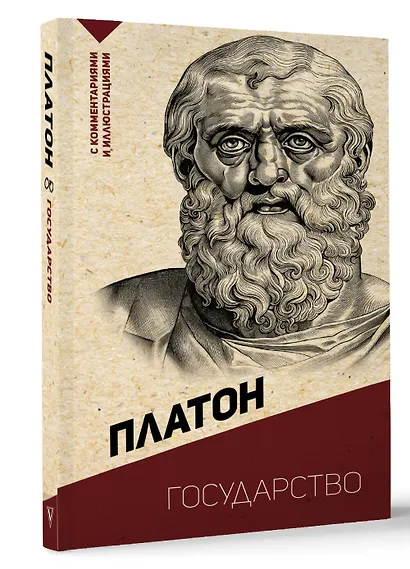 Государство. С комментариями и иллюстрациями - фото 3