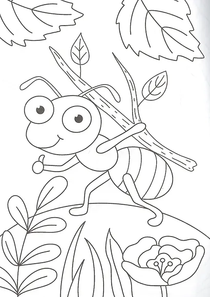 РАСКРАСКА А4 эконом. БУКАШКИ - фото 3