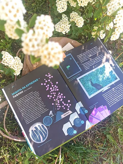 Дикие изобретения. 40 технологий, подаренных нам природой - фото 7