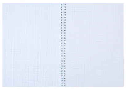 Тетрадь А4 60 листов, клетка, "Капибар Капибаров (Эксклюзив)" евроспираль - фото 4