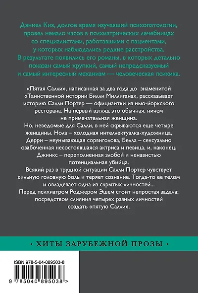 Пятая Салли - фото 2