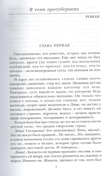 В тени протуберанца - фото 3