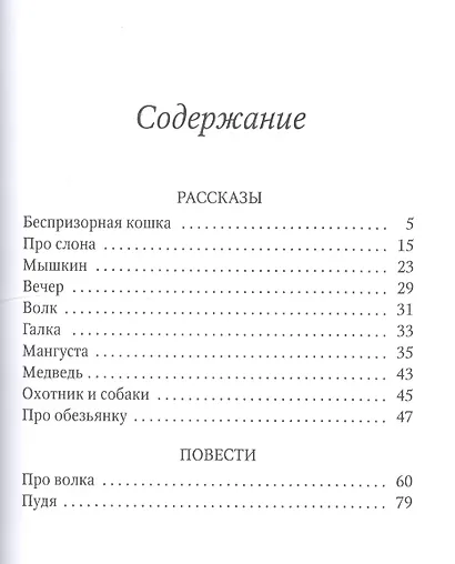 Беспризорная кошка: рассказы, повести - фото 2