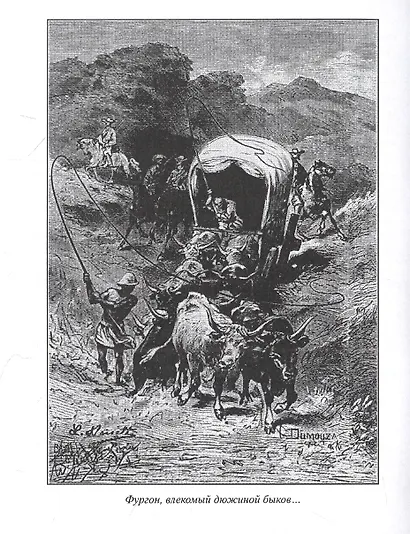 Звезда Юга - фото 3