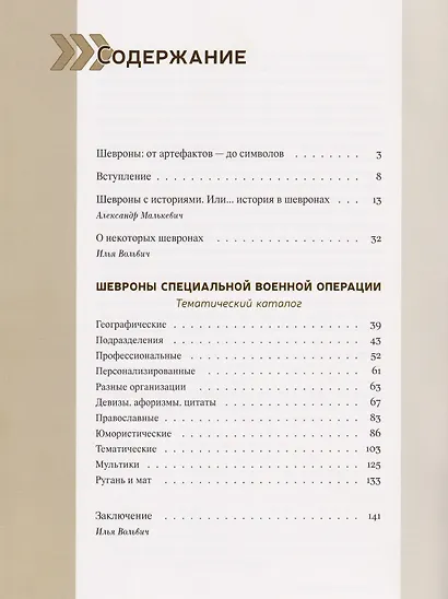 История СВО в шевронах - фото 3