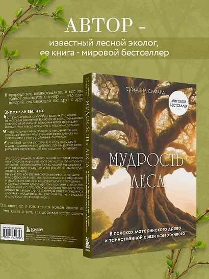 Мудрость леса. В поисках материнского древа и таинственной связи всего живого - фото 6
