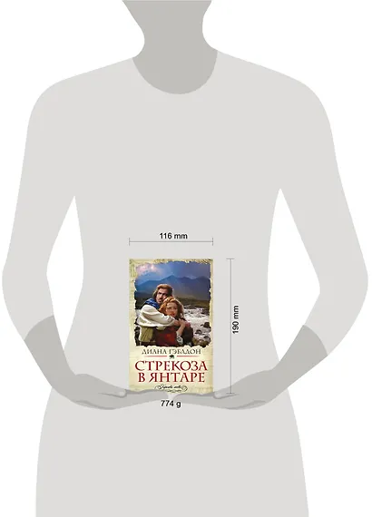 Стрекоза в янтаре - фото 3