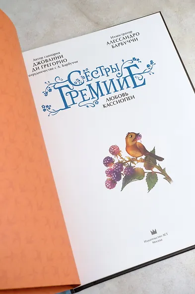 Сестры Гремийе. Любовь Кассиопеи - фото 8