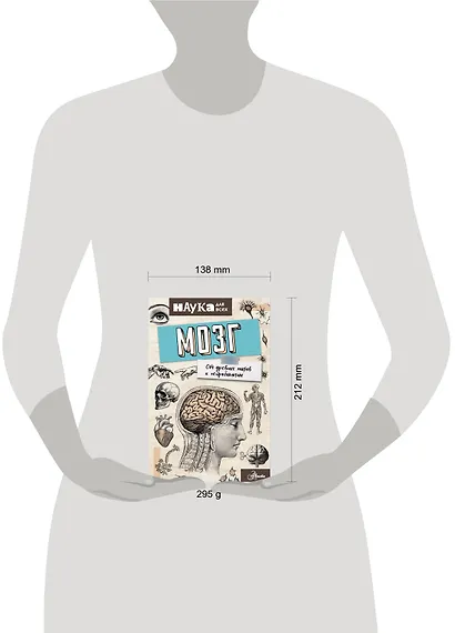 Мозг. От древних мифов к нейробиологии - фото 3