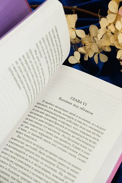 Пурпурная Земля - фото 15