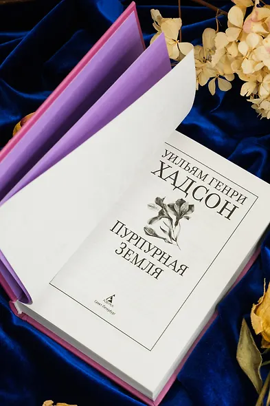 Пурпурная Земля - фото 14