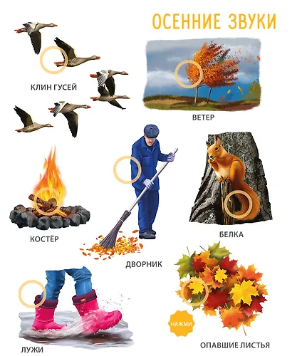 50 звуков. Мир вокруг меня - фото 7