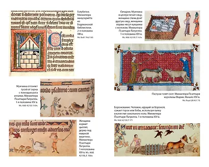 Жизнь в средневековой деревне - фото 13