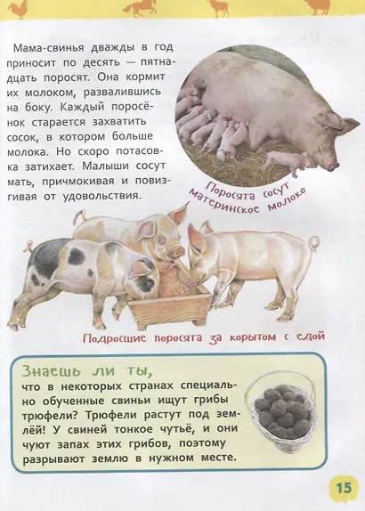 Животные фермы. Энциклопедия для детского сада - фото 3