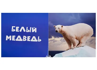 Первые слова. Животные. Фотокнига - фото 2