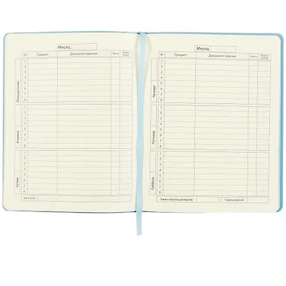 Дневник школьный Феникс+, "Голубой кактус" - фото 2