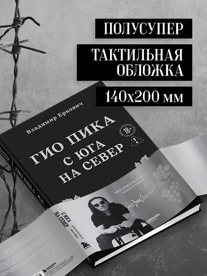 Гио Пика: с юга на север. Авторизованная биография - фото 9