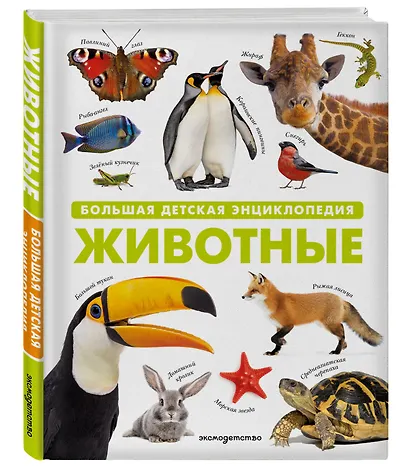 Животные. Большая детская энциклопедия - фото 3