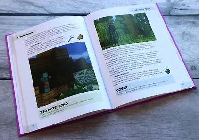 Полное руководство по режиму выживания в Minecraft - фото 5