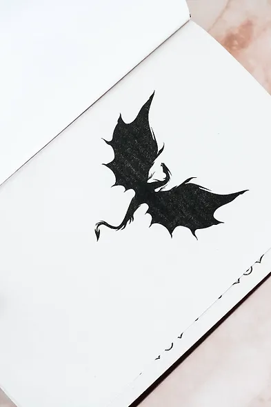 Пламенное сердце - фото 6