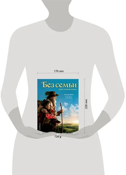 Без семьи. Приключения Реми - фото 4