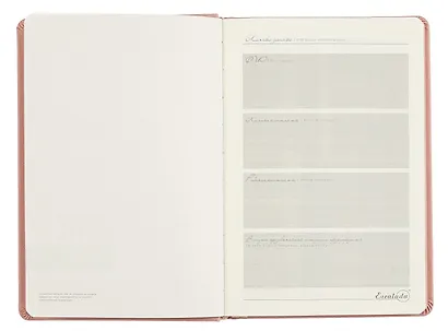 Ежедневник недат. А5 160л "Буйвол" пепельно-розовый, бежевый, кожзам, тв.переплет, блинтовое тиснение, офсет, ляссе - фото 4