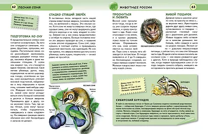 Животные - фото 7